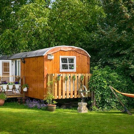 B&B Hetvrijdagsgevoel Снек Екстериор снимка