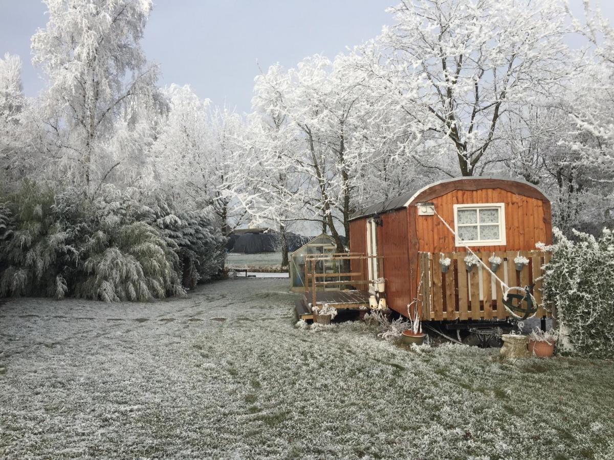 B&B Hetvrijdagsgevoel Снек Екстериор снимка